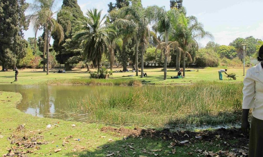 Harare Gardens
