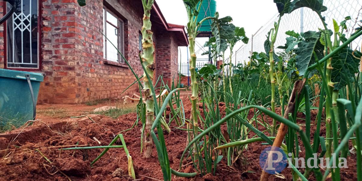 Home Garden Business Life