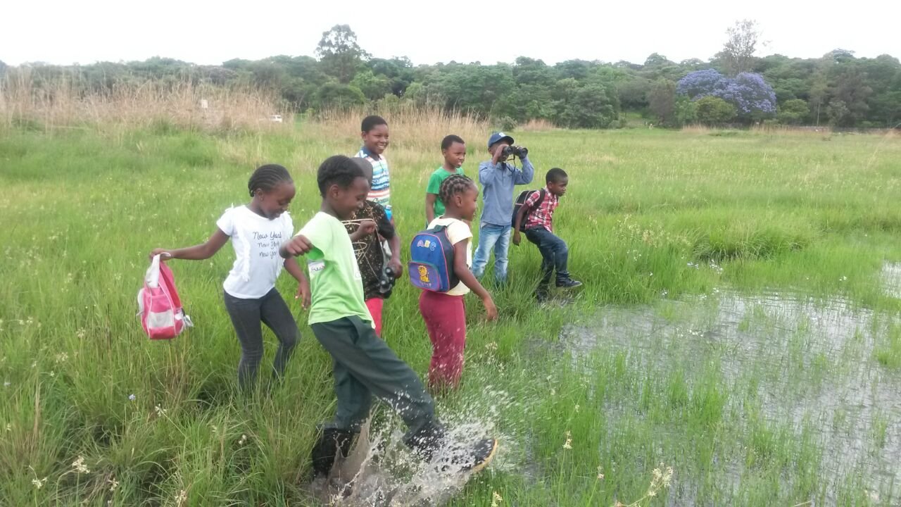 Senators Push For Moratorium On Allocation Of Stands On Wetlands