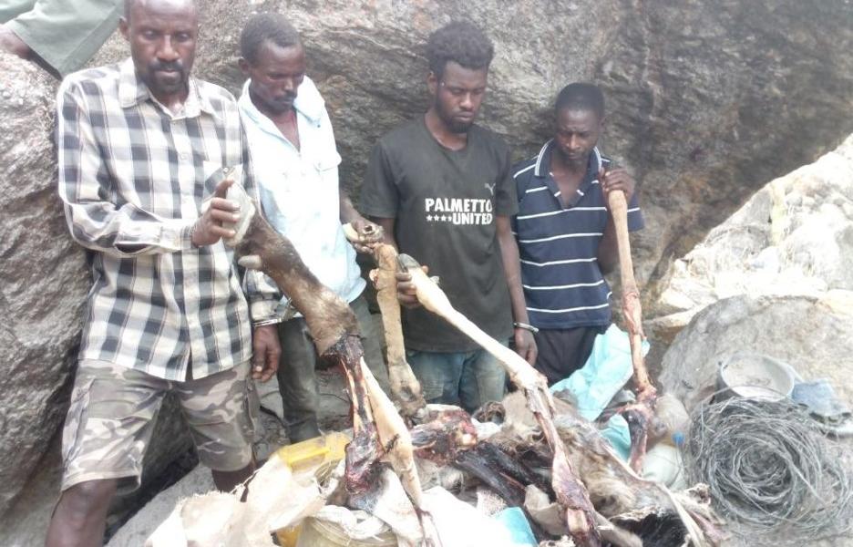 Poachers caught in Hwange