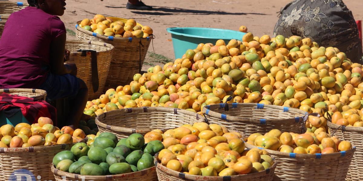 Vendor Mango Tswanda