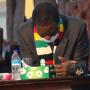 Emmerson Mnangagwa will be removed