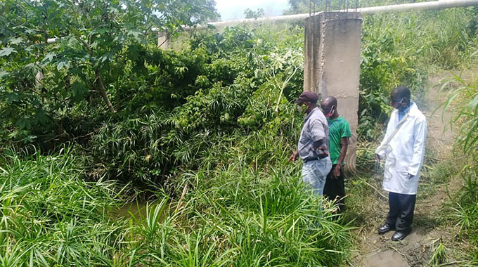 Crocodile Attack in Kariba