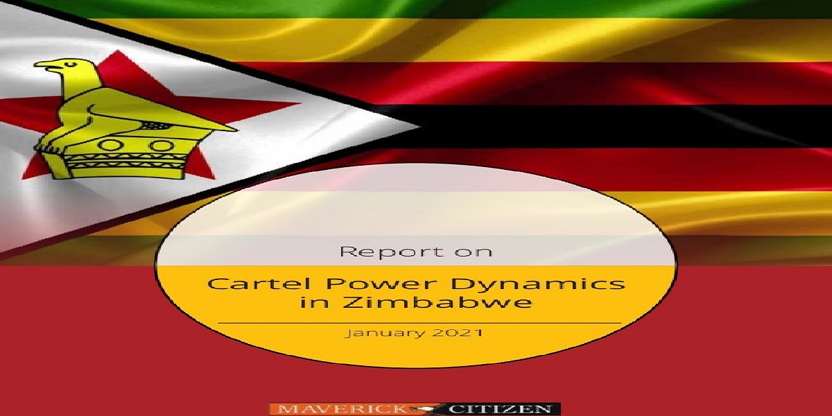 REPORT ON CARTEL POWER DYNAMICS IN ZIMBABWE