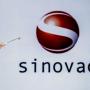 Sinovac COVID-19 Vaccines efficacy South Africa approved Zimbabwe 2 million doses