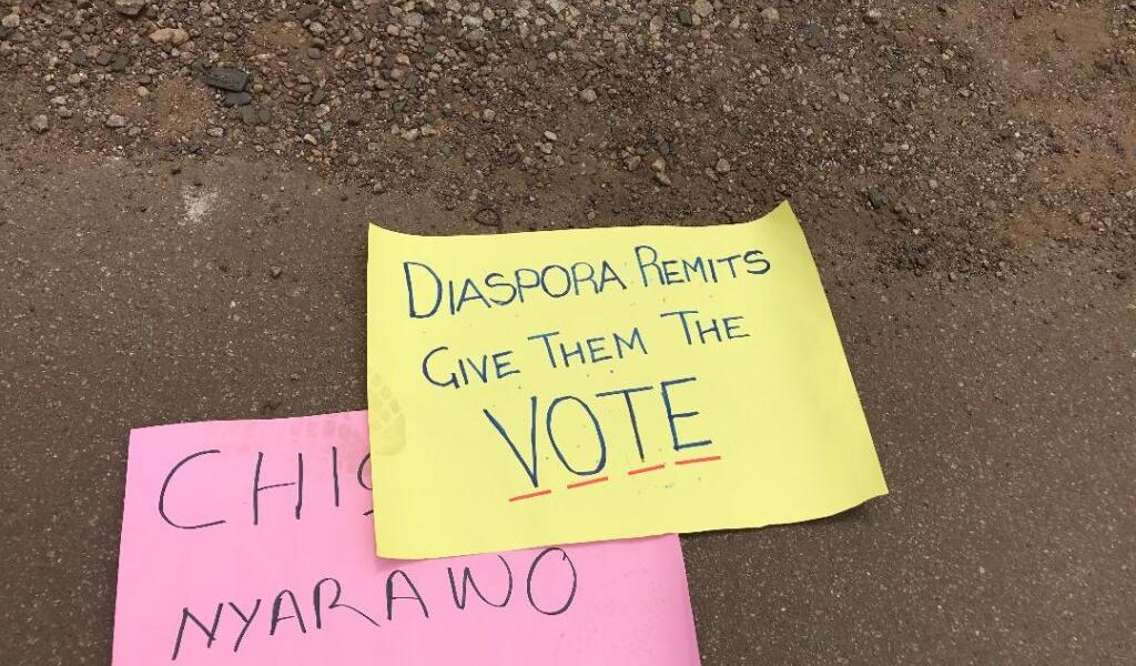ZEC Flash Demo Diaspora vote