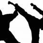 Zimbabwe Karate Union suspended by WKF