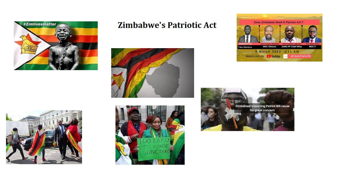 Zimbabwe's Patriotic Act ZimLivesMatter