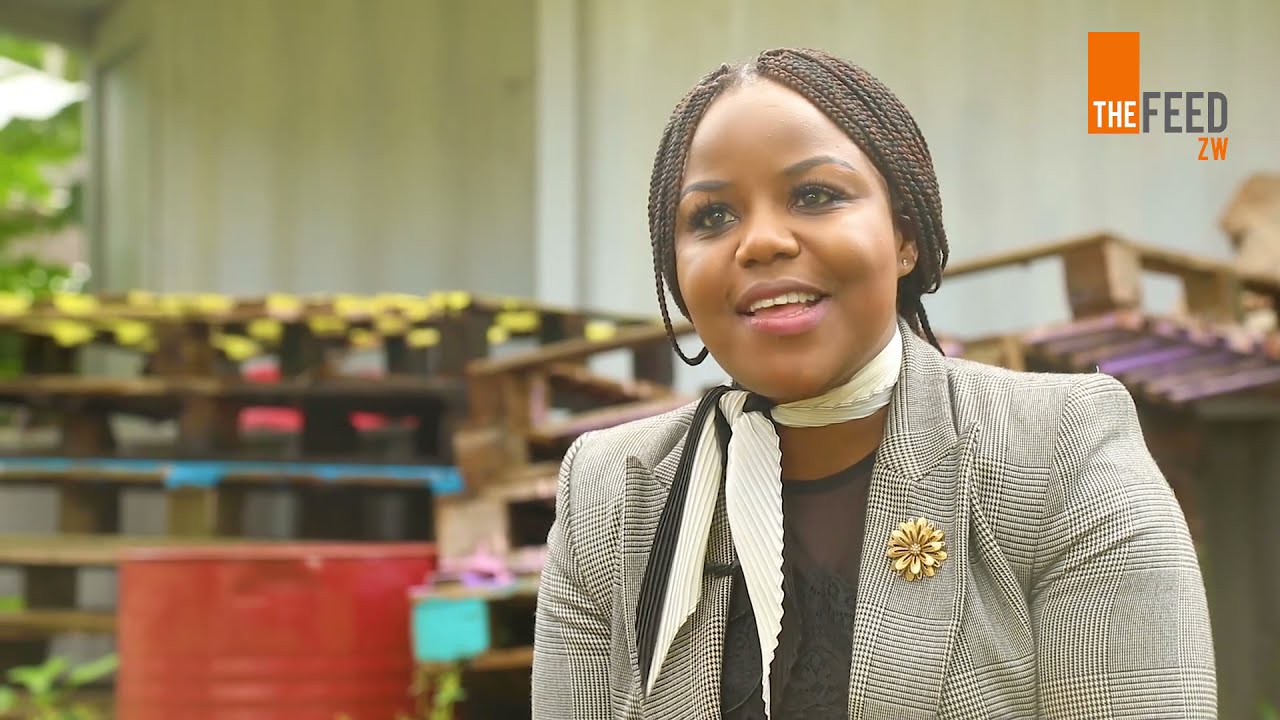 WATCH: Fadzayi Mahere’s Letter To ED
