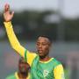 DIVINE LUNGA GOLDEN ARROWS WARRIORS