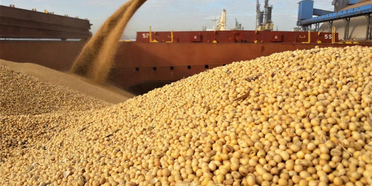 National Foods Invests US$12 million To Contract Farming For The 2022–2023 Season