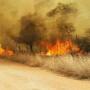 Veld fires - deforestation