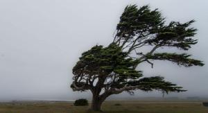 MSD Forecasts Cloudy And Windy Conditions