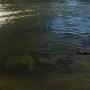 Deka River