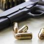 Zimbabwe Republic Police Prohibits Carrying Firearms In Public Gatherings