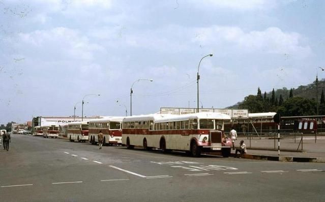 Rhodesia Buses