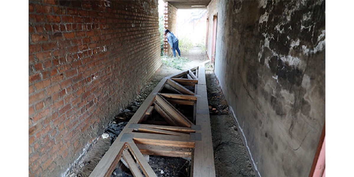 Deputy Minister of Health John Mangwiro fumes TREES GRASS MPILO CENTRAL HOSPITAL BUILDING