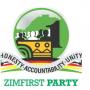 Zimfirst Party