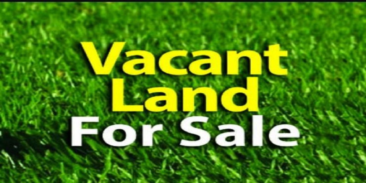 28-year-old Woman Duped US$5.8K In Botched Land Deal Stands residential Sakubva Mutare MDC Alliance Councillor Arrested For Selling Nonexistant Stand