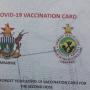 Theft On COVID-19 Vaccination Cards Points To Underlying Issues In Health Sector