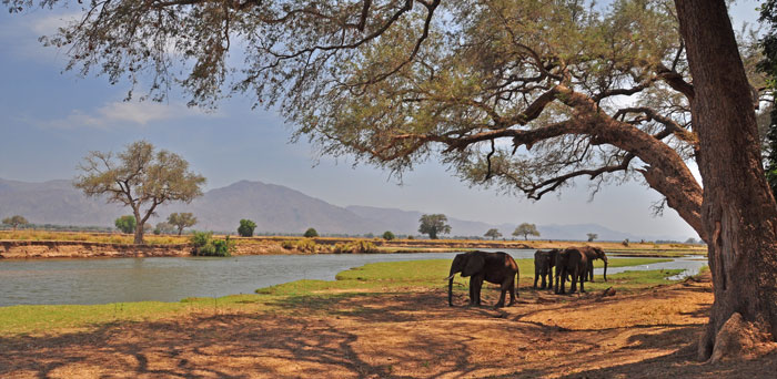 Tourists Trapped In Mana Pools National Park As Heavy Rains Damage Access Bridges