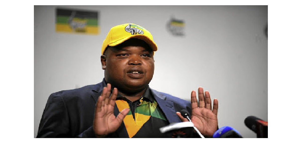 ANC Dismiss Reports Saying It Intends To Suspend Head Of Presidency Sibongile Besani
