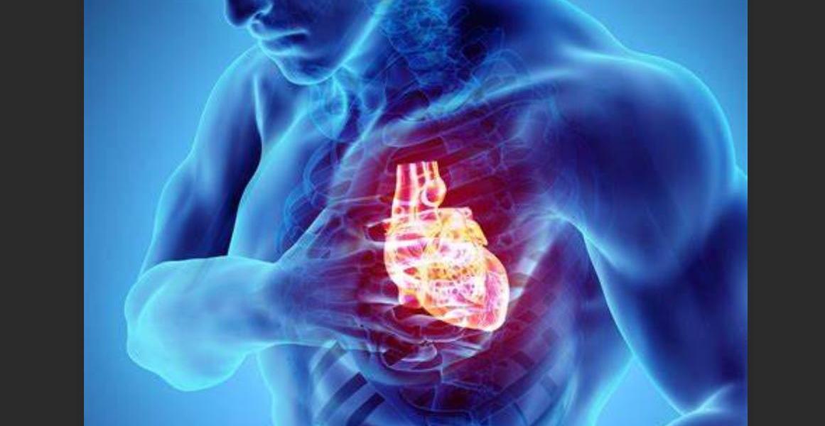 COVID Vaccines Dramatically Increase Endothelial Inflammatory Markers and ACS Risk - PULS Cardiac Test