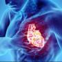 COVID Vaccines Dramatically Increase Endothelial Inflammatory Markers and ACS Risk - PULS Cardiac Test
