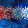Omicron Has A Lower Fatality Rate In South Africa - Virologist