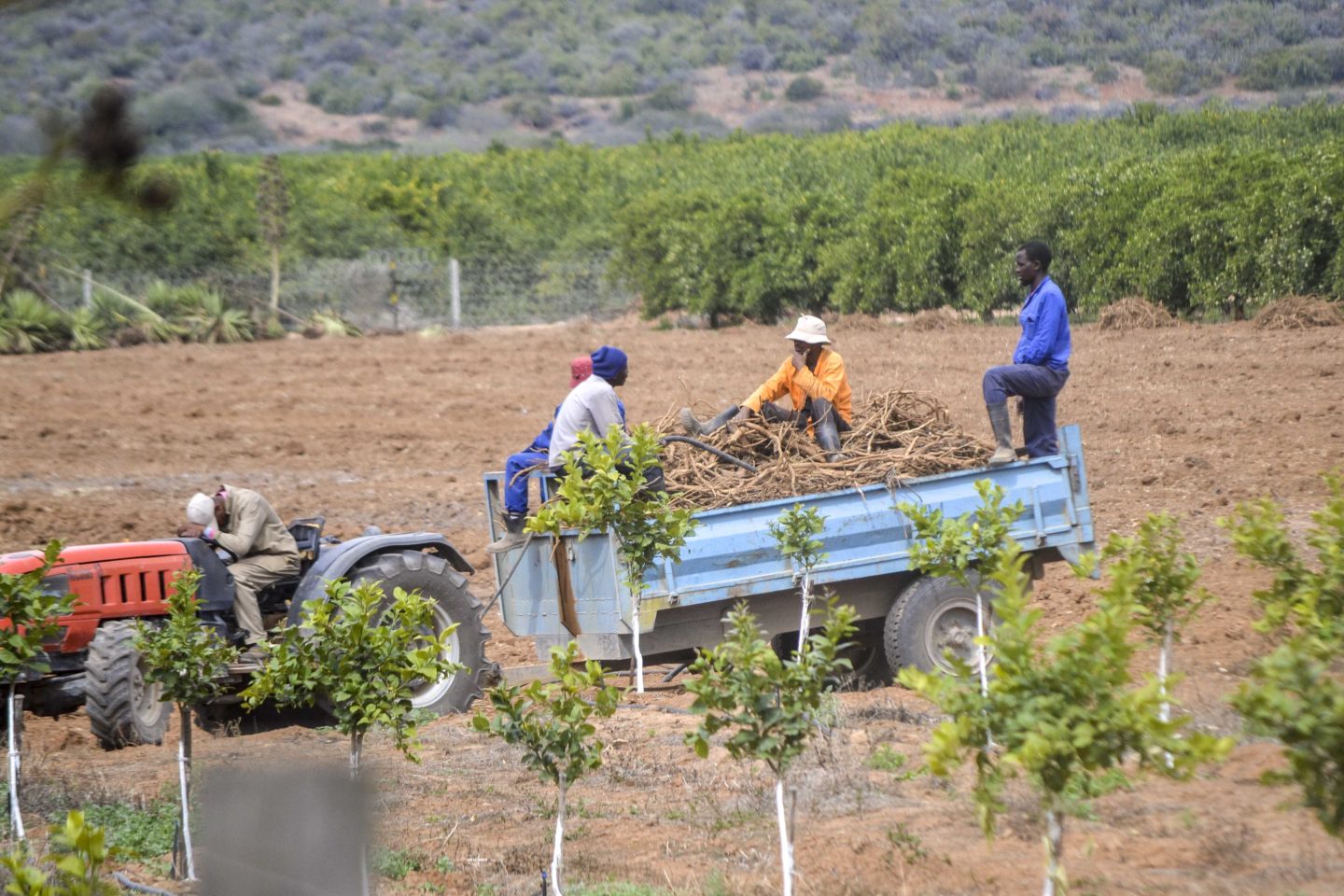 SA: R100,000 Fines For Employing Foreigners Not Yet in Effect – Labour Expert