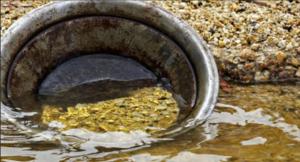gold panning mining