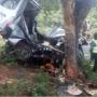 3 Brothers Killed In A Road Accident Near Lake Mutirikwi On New Year