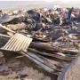 South Africa: Fire Leaves 600 Homeless In Western Cape