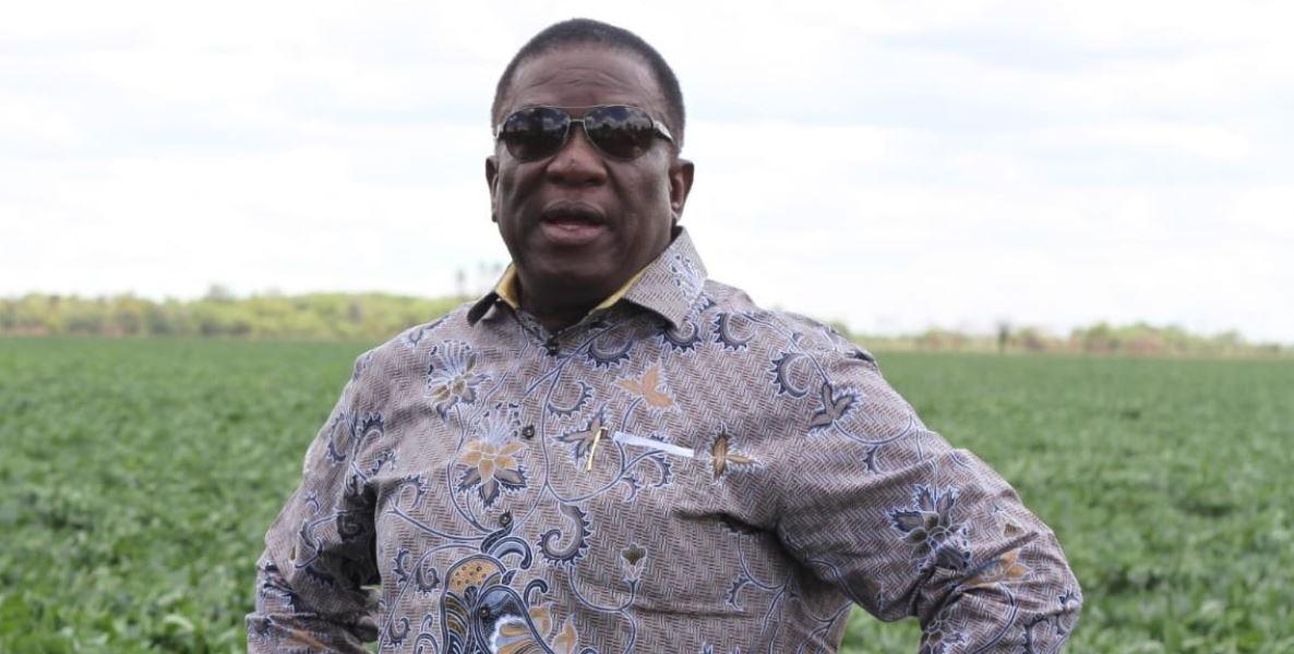 "President Mnangagwa's Antics To Retain Power Destabilising The Economy"