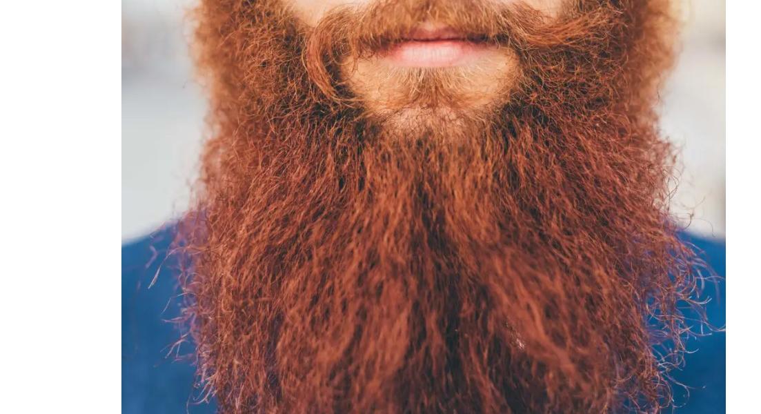 Taliban Bars Government Employees Without Beards From Work