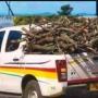 Police Warns Against Possessing, Selling Firewood, Charcoal Without Permits