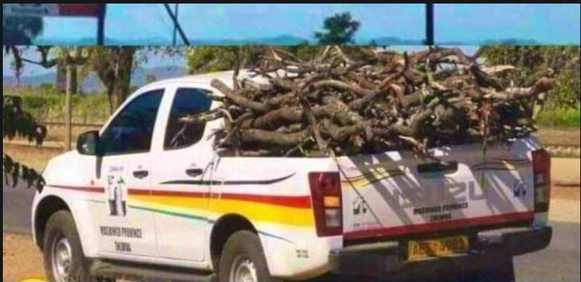 Police Warns Against Possessing, Selling Firewood, Charcoal Without Permits