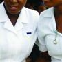 Fake Nurse Aide Trainers Cash In On Desperate Zimbabweans
