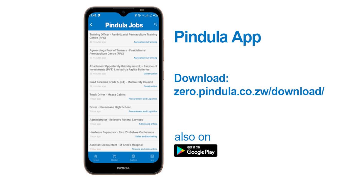 Pindula Jobs