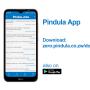 Pindula Jobs