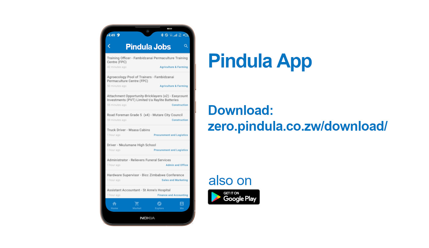 Browse Zimbabwean Job Vacancies Online Without Data Bundles – Yes it’s possible