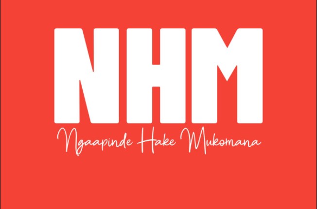 Ngaapinde Hake Mukomana (NHM) Party Formed - Report