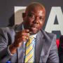 I Promise We'll Not Disappoint You - ZIFA Acting President