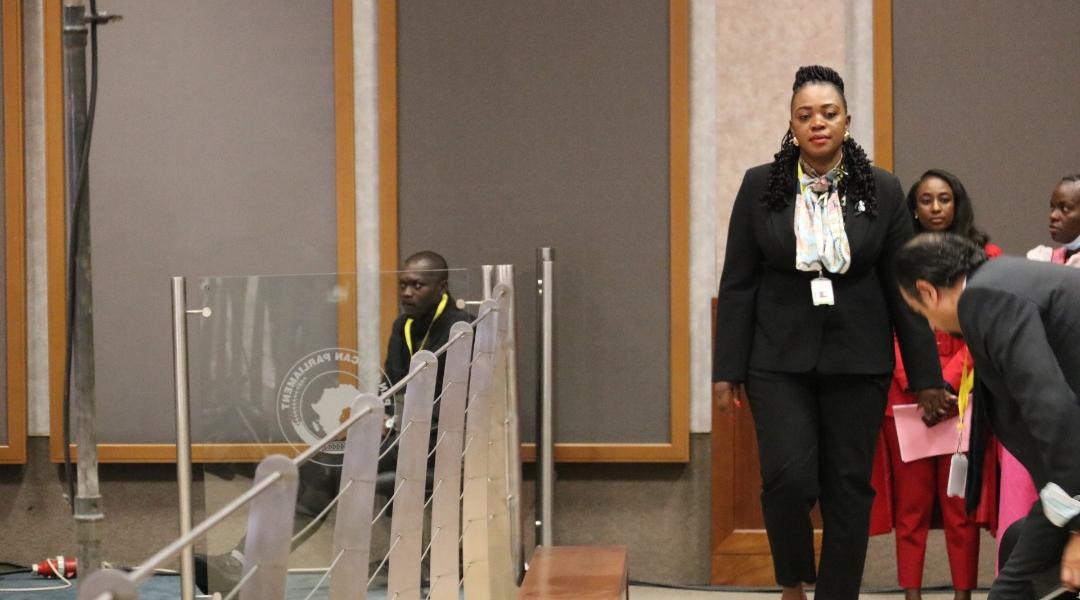 Tatenda Mavetera Zim ICT Minister former actress