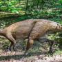 Africa's Known Oldest Dinosaur Found In Northern Zimbabwe