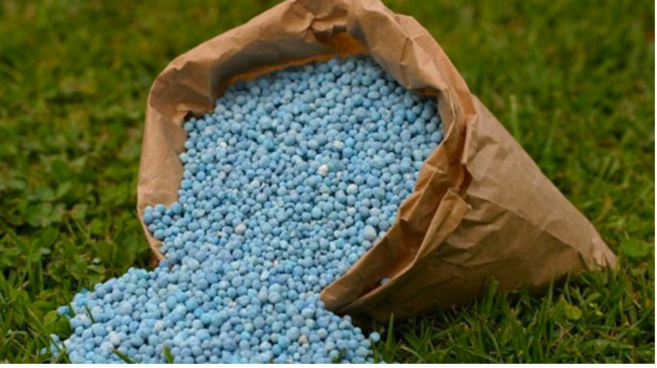 Blockade On Russian Fertiliser
