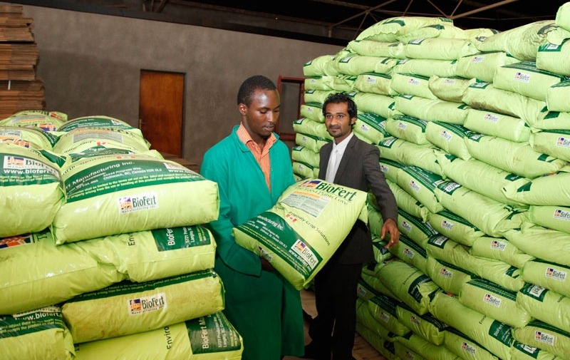 govt-urged-to-intervene-on-high-fertiliser-prices-pindula-news