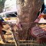 Kombi veered off Road at Mzilikazi surburb KidzNet preschool