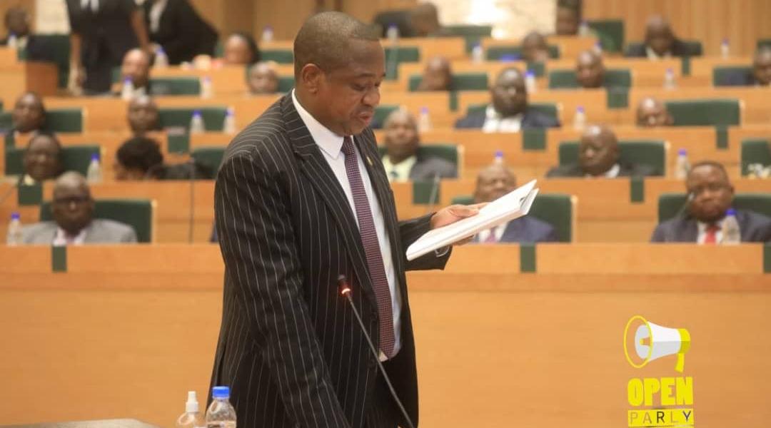 Mthuli Ncube