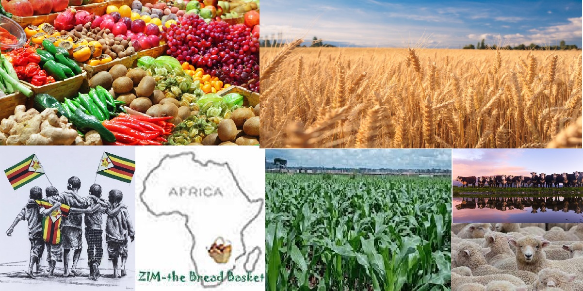 Zimbabwe Now Southern African Breadbasket – Bhasera